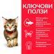 Сухой корм Hill's Science Plan Feline Kitten Chicken, 300 гр 00000003691 фото 3