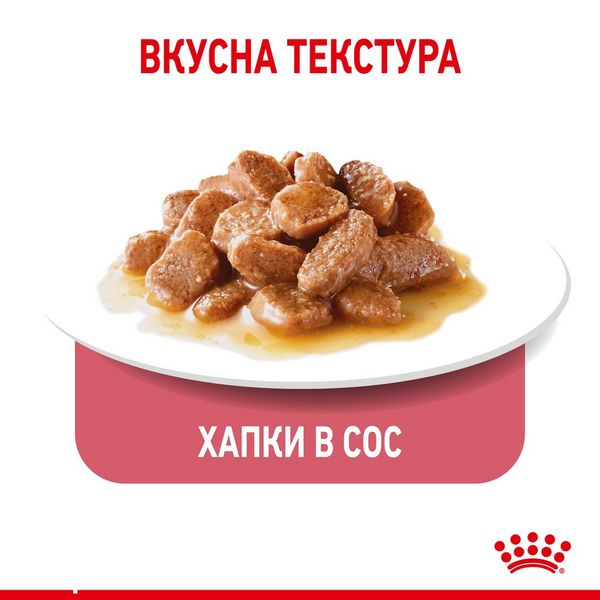 Храна Royal Canin Light Weight Care - 12х85 гр 00000002710 снимка