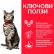 Суха храна Hill's Science Plan Feline Adult Urinary Health, 300 гр 00000003689 снимка 3