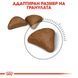 Корм Royal Canin FCN Hairball Care, 2 кг 00000002644 фото 2