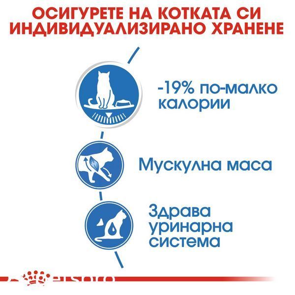 Храна Royal Canin Urinary Care Gravy - 12х85 гр 00000002767 снимка