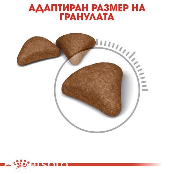 Храна Royal Canin FCN Hairball Care, 10 кг 00000002643 снимка