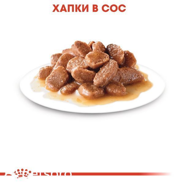 Храна Royal Canin Urinary Care Gravy - 12х85 гр 00000002767 снимка