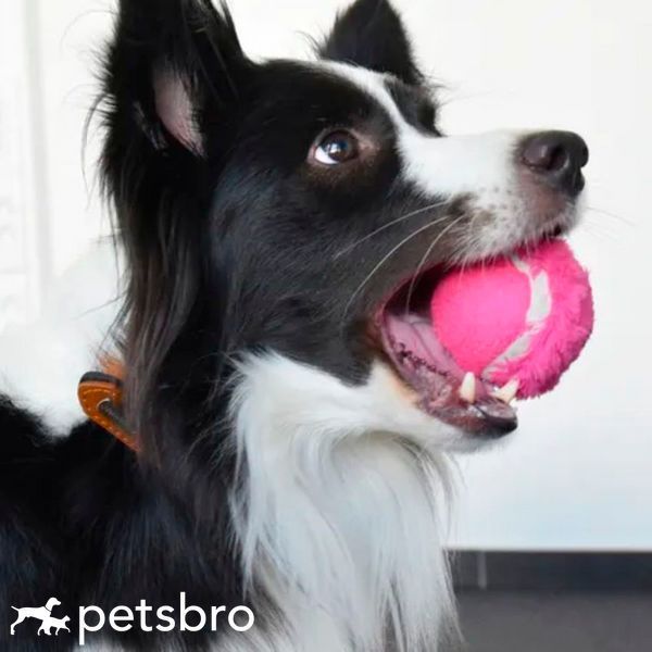 Топка Flamingo Tennis ball 00000006845 снимка