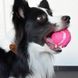 Топка Flamingo Tennis ball 00000006845 снимка 2