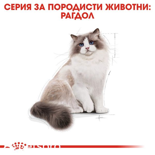 Храна Royal Canin FBN Ragdoll Adult - 10 кг 00000002624 снимка