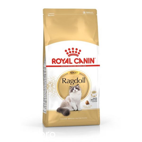 Храна Royal Canin FBN Ragdoll Adult - 10 кг 00000002624 снимка