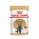 Храна Royal Canin FBN British Shorthair Adult - 12х85 гр 00000002609 снимка 1