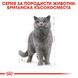 Храна Royal Canin FBN British Shorthair Adult - 12х85 гр 00000002609 снимка 2