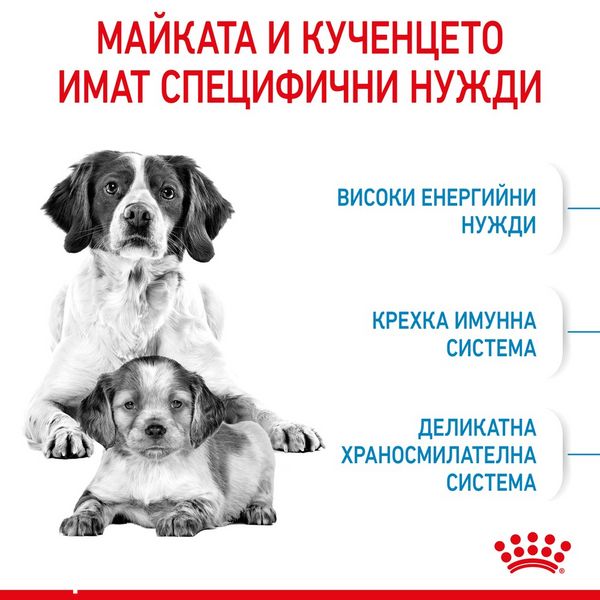 Храна Royal Canin SHN Starter Mother & Babydog - Medium, 15 кг 00000002755 снимка