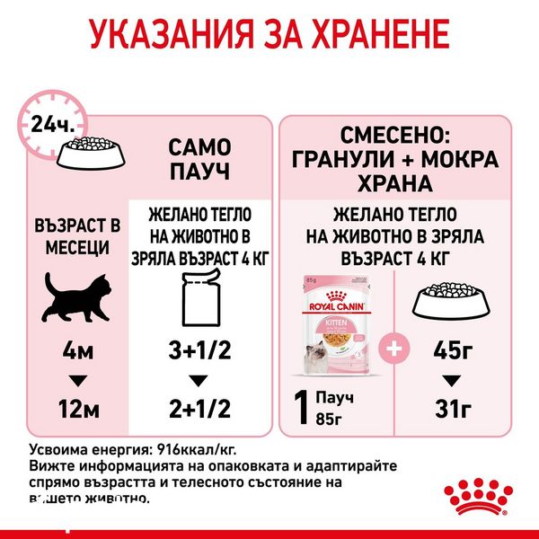 Храна Royal Canin Kitten in Jelly - 12x85 гр 00000002991 снимка