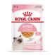 Храна Royal Canin Kitten in Jelly - 12x85 гр 00000002991 снимка 1