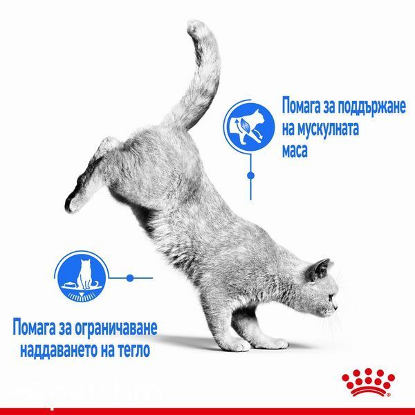 Храна Royal Canin FCN Light Weight Care, 8 кг 00000002648 снимка