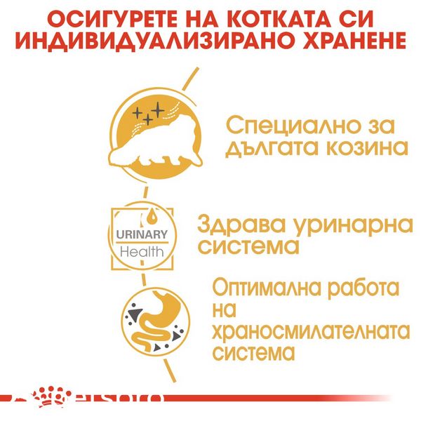 Храна Royal Canin FBN Persian - 12х85 гр 00000002617 снимка