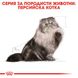 Храна Royal Canin FBN Persian - 12х85 гр 00000002617 снимка 2