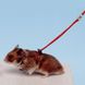 Нагръдник Ferplast NY Ham Harness Hamster Red - 120 см 00000004948 снимка 2