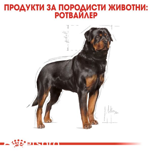 Храна Royal Canin BHN Rottweiler Adult - 12 кг 00000002560 снимка