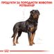 Храна Royal Canin BHN Rottweiler Adult - 12 кг 00000002560 снимка 2