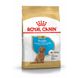 Суха храна Royal Canin Poodle Puppy, 500 гр 00000002993 снимка 1