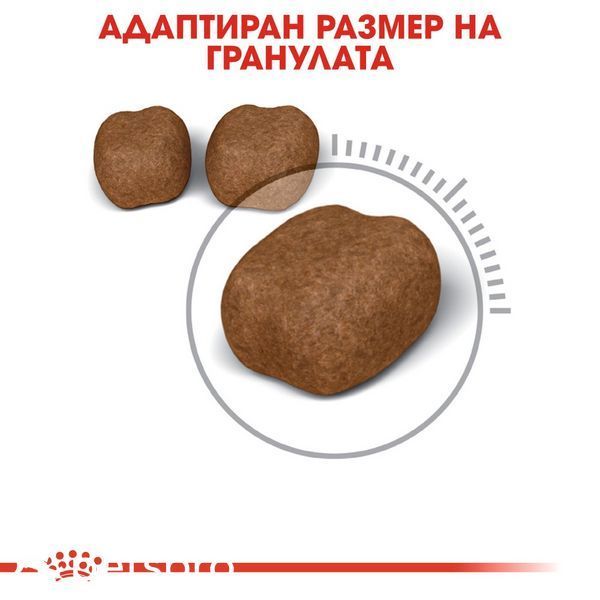 Храна Royal Canin FCN Dental Care, 1,5 кг 00000002634 снимка