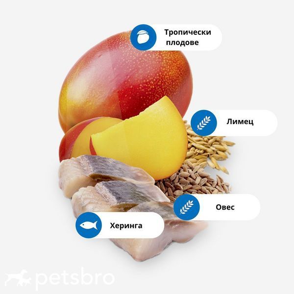 Сухой корм Farmina N&D Dog Tropical Selection Herring Adult Mini, 5 кг 00000010048 фото