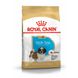 Храна Royal Canin BHN Shih Tzu Puppy - 1,5 кг 00000002563 снимка 1