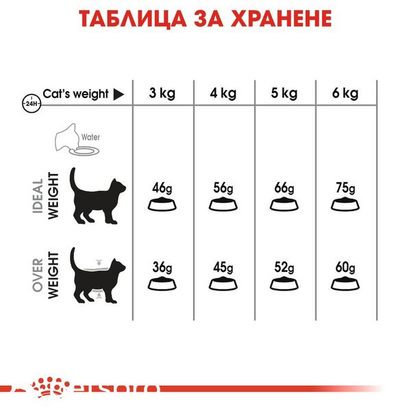 Храна Royal Canin FCN Dental Care, 8 кг 00000002633 снимка