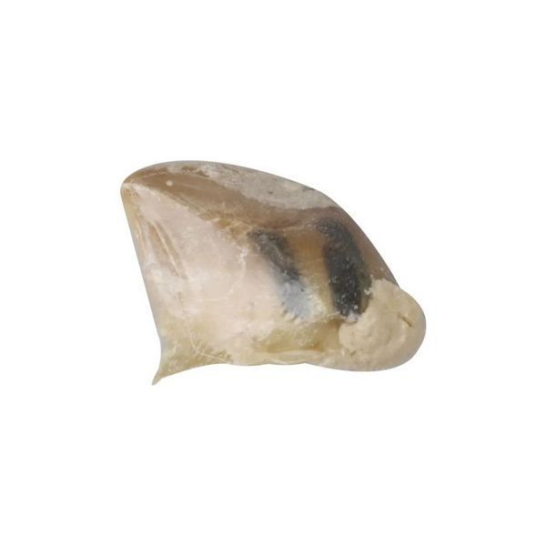Лакомство Flamingo Veal Hoof - 1 бр 00000005768 снимка