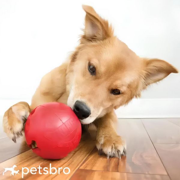 Играчка Kong Bisquit Ball, S 00000009797 снимка