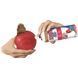 Играчка Kong Bisquit Ball, S 00000009797 снимка 3