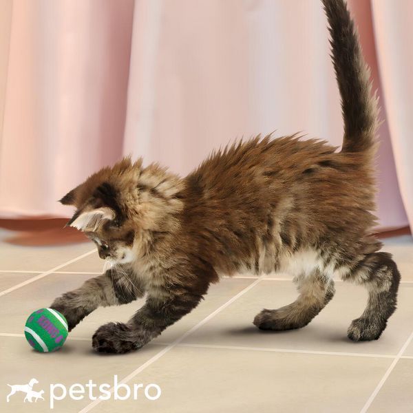 Играчка Kong Cat Tennis Balls with Bells 00000009806 снимка