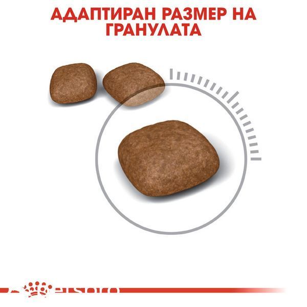 Храна Royal Canin FCN Urinary Care, 2 кг 00000002651 снимка