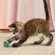 Играчка Kong Cat Tennis Balls with Bells 00000009806 снимка 2