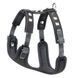 Нагръдник Giotto Luxor Black P, S 00000004940 снимка 1
