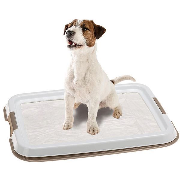 Хигиенна подложка за памперси Ferplast Hygienic Pad Tray Small - 49x36x3 cm 00000008495 снимка
