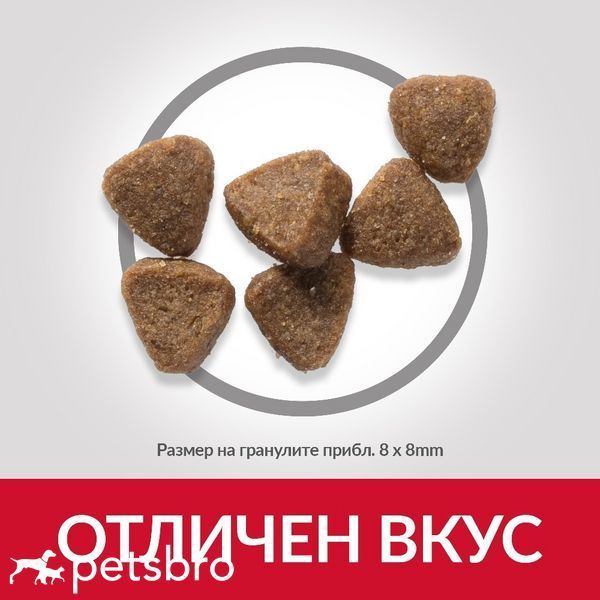 Сухой корм Hill's Science Plan Feline Kitten Chicken, 1,5 кг 00000003693 фото
