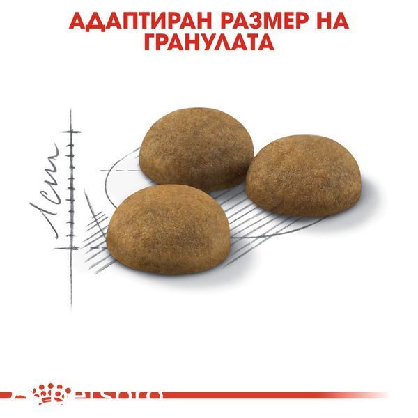 Храна Royal Canin FHN Indoor Long Hair, 400 гр 00000002668 снимка