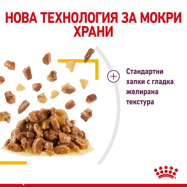Храна Royal Canin FHN Sensory Taste Jelly - 12х85 гр 00000002695 снимка