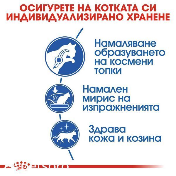 Храна Royal Canin FHN Indoor Long Hair, 400 гр 00000002668 снимка