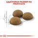 Храна Royal Canin FHN Indoor Long Hair, 400 гр 00000002668 снимка 2