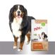 Храна ProCare Lamb & Rice Hypoallergic - за кучета от средни и големи породи, 3 кг 00000000089 снимка 3