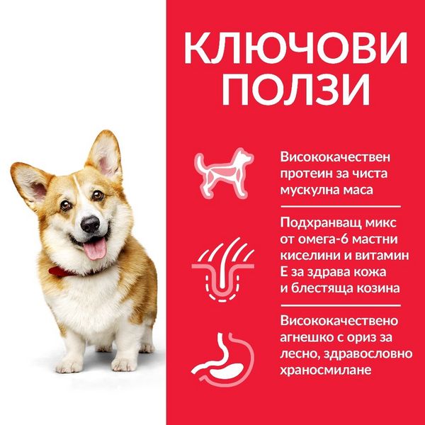 Суха храна Hill's Science Plan Canine Adult Small & Mini Lamb, 300 гр 00000003637 снимка