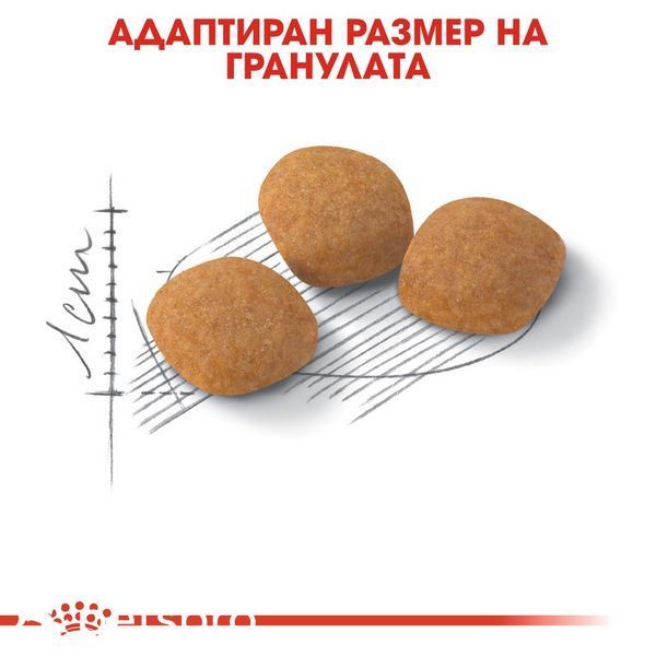 Храна Royal Canin FHN Protein Exigent, 10 кг 00000002682 снимка