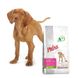 Храна ProCare Grain Free Puppy & Junior Daily Care - за всички породи кучета, 3 кг 00000000078 снимка 3
