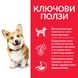 Суха храна Hill's Science Plan Canine Adult Small & Mini Lamb, 300 гр 00000003637 снимка 3