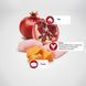 Сухой корм Farmina N&D Dog Pumpkin Chicken & Pomegranate Puppy Medium&Maxi, 2,5 кг 00000010040 фото 2