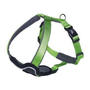 Шлея Nobby Comfort Harness "Classic Preno" - Green, M-L 00000001859 фото