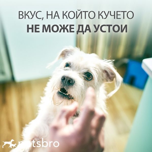 Лакомство Hill&rsquo;s Healthy Weight Treats - 200 гр 00000003596 снимка