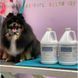 Шампоан iGroom Deshedding & Detangling, 473 мл 00000009918 снимка 2