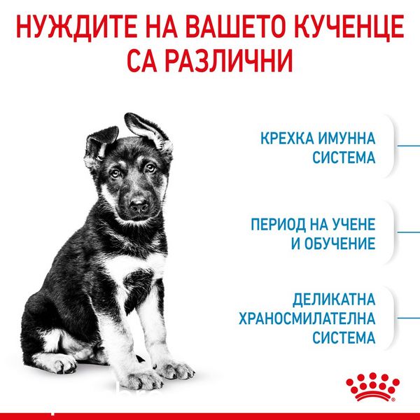Храна Royal Canin SHN Puppy - Maxi, 4 кг 00000002742 снимка